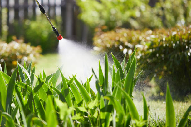 24/7 Emergency Wasp Removal experts in Level Park-Oak Park, MI